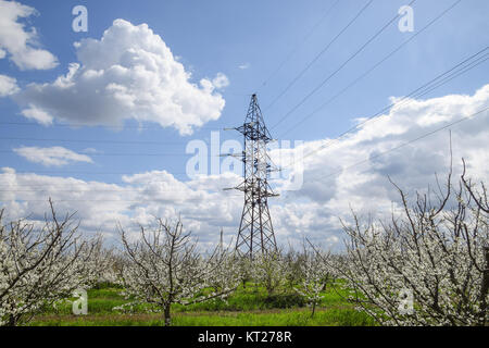 Tour de transmission dans le jardin de fleurs Banque D'Images