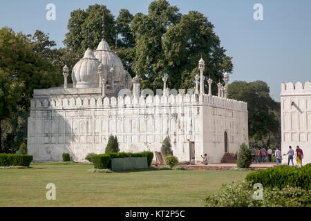 Moti Masjid Pearl Mosquée, Fort Rouge, New Delhi, Inde Banque D'Images