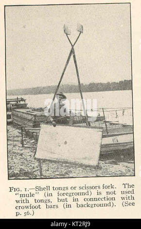 La mule au premier plan est un outil ancien utilisé en conjonction avec des barres pied-de-biche, et non des pinces, généralement associées au travail des métaux. Les tonalités de coquille et les fourches de ciseaux se réfèrent à différents types d'outils utilisés dans divers métiers manuels. Ces objets sont des artefacts historiques et illustrent le développement des techniques artisanales au fil du temps. Banque D'Images