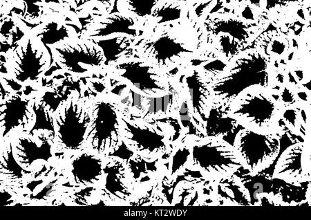 Noir et blanc motif abstrait Banque D'Images