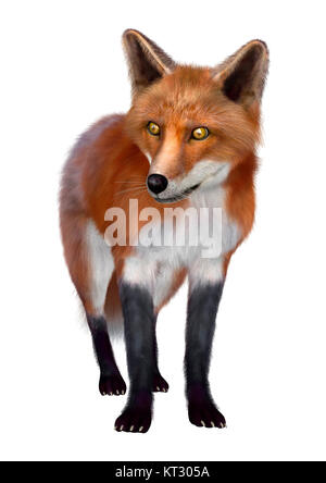 Le Rendu 3D Red Fox on White Banque D'Images