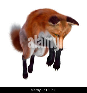 Le Rendu 3D Red Fox on White Banque D'Images