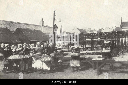 Cette image montre des femmes travaillant dans une cour de séchage dans une conserverie, préparant des sardines sur des grillades. La scène représente le processus exigeant en main-d'œuvre de conservation du poisson à des fins commerciales, typique de l'industrie de la pêche au début du XXe siècle. Banque D'Images
