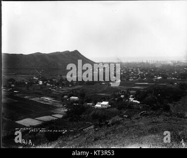 Cette photographie, prise par frère Bertram, montre une vue imprenable sur Honolulu depuis Pacific Heights, offrant une perspective panoramique sur la ville, l'océan et le paysage environnant à Hawaï. Banque D'Images