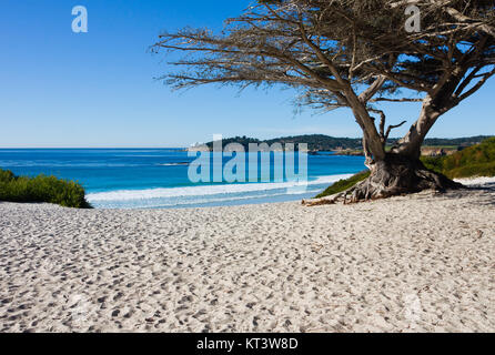 Plage de galets sur une journée ensoleillée Banque D'Images