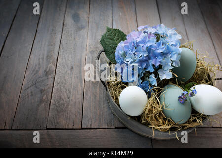 Oeufs de Pâques dans un bol avec de la paille et le bleu des hortensias Banque D'Images