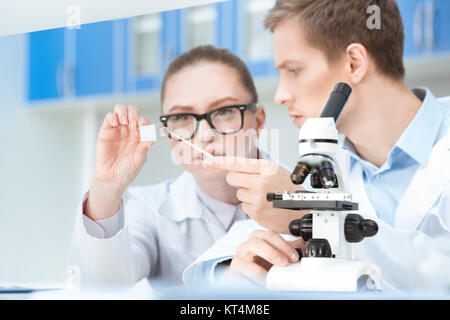 Concentrés jeunes chimistes travaillant avec du verre de microscope in lab Banque D'Images