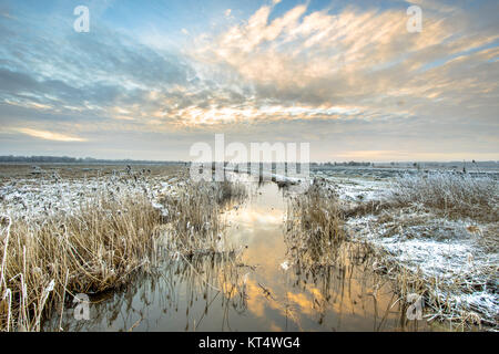 Frozen river Drentsche Aa dans la partie nord de la province de Drenthe aux Pays-Bas sur un matin froid Banque D'Images