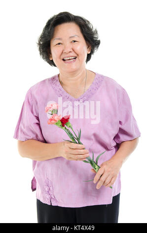 Mère et fleur oeillet Banque D'Images
