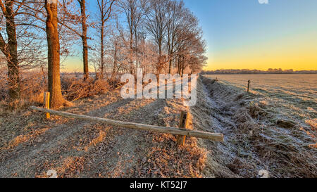Paysage d'hiver de l'agriculture néerlandais sur clear morning avec soleil levant dans Drenthe Pays-Bas Banque D'Images