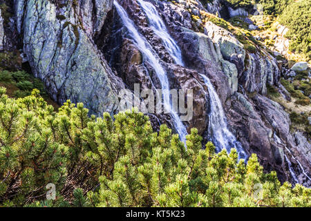 La Grande Cascade Siklawa (70 m de haut) sur le ruisseau Roztoka. Les Hautes Tatras, les Carpates. Vallée de cinq étangs polonais. Réserve naturelle étonnante en Pologne. Banque D'Images