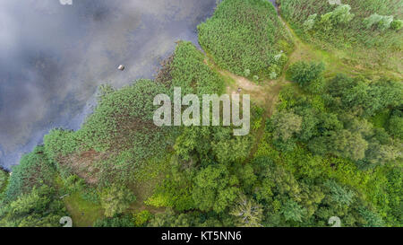 Paysage d'été. Les arbres verts à riverbank en Pologne. Banque D'Images