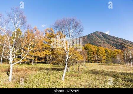 Mont Nantai dans Nikko du Japon Banque D'Images