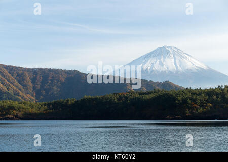 Le Mont Fuji et le lac saiko Banque D'Images