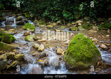 Rivière de montagne tropicale dans la jungle à jour Banque D'Images