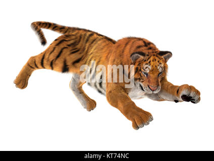 Le Rendu 3D Big Cat Tiger on White Banque D'Images