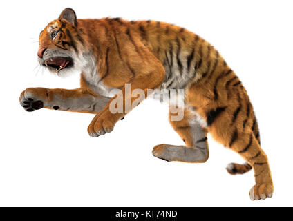 Le Rendu 3D Big Cat Tiger on White Banque D'Images