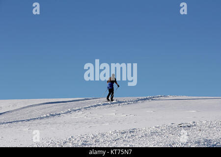 Un ski de fond en hiver contre le ciel bleu. Le ski de fond est un sport d'hiver populaire Banque D'Images
