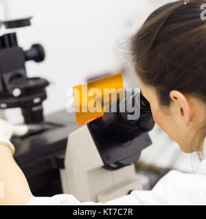 Chercheur en sciences de la vie génétique dans microscoping laboratoire scientifique. Banque D'Images