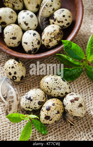 Produits frais bio oeufs de cailles et feuillage de printemps. Banque D'Images