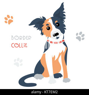 Drôle de scénario Border Collie tricolore chien assis Banque D'Images