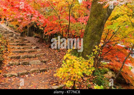 Temple japonais en automne Banque D'Images