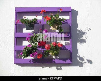 Les pots à fleurs violet sur palette en bois peint, Village en Andalousie - Espagne Banque D'Images