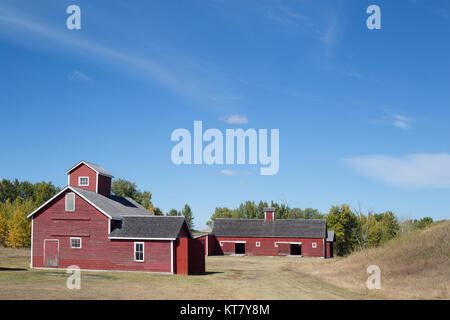 Chop House au ranch Bar U, construit à l'origine comme une grange c1909, utilisé pour stocker et moulin des grains pour l'alimentation du bétail. Étable à cheval au loin. Banque D'Images