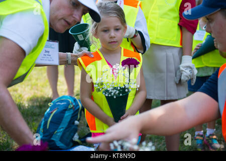 Ada Sharpe recueille des fleurs à jeter sur les tombes dans l'article 21 du Cimetière National d'Arlington, Arlington, Va., le 14 juillet 2017. Plus de 400 professionnels ont participé à paysage bénévole l'Association nationale des professionnels du paysage et de renouvellement annuel 21 souvenir à l'ANC. (U.S. Photo de l'armée par Elizabeth Fraser / Arlington National Cemetery / relâché) Banque D'Images