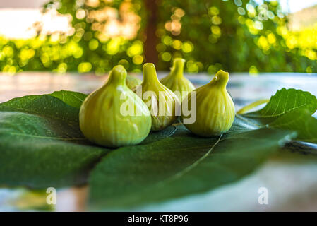 Fruits frais fig sur feuille verte Banque D'Images