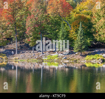 Saison d'automne au Québec, Canada Banque D'Images