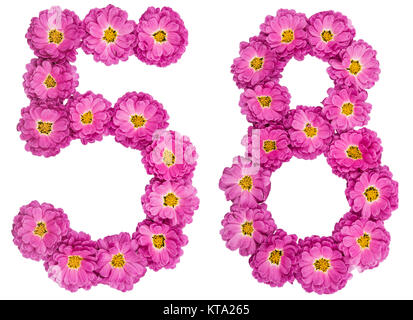 Chiffre arabe 58, cinquante huit, des fleurs de chrysanthème, isolé sur fond blanc Banque D'Images