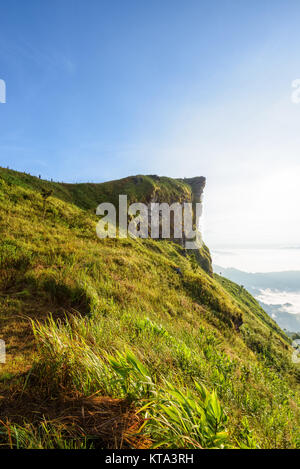 Matin à Phu Chi Fa Forest Park, Thaïlande Banque D'Images