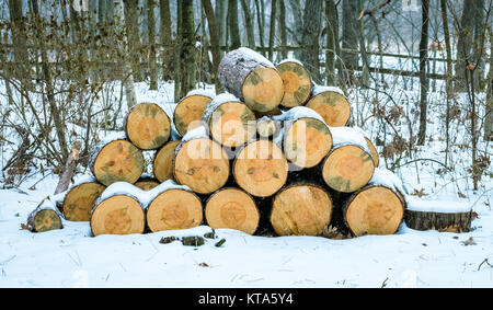 Camping d'hiver et une pile de grumes Banque D'Images