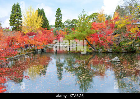 Les arbres colorés avec le lac en automne au Japon Banque D'Images