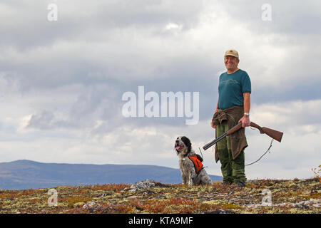 Hunter norvégien avec fusil de chasse chien Setter Anglais et huppée dans la toundra à l'automne, la Norvège Banque D'Images