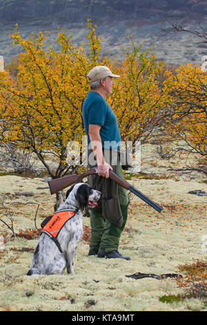 Hunter norvégien avec fusil de chasse chien Setter Anglais et huppée sur la lande à l'automne, la Norvège Banque D'Images