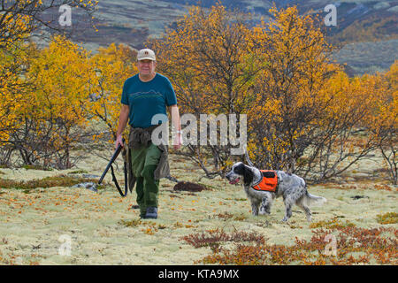 Hunter norvégien avec fusil de chasse chien Setter Anglais et huppée sur la lande à l'automne, la Norvège Banque D'Images