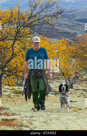 Hunter norvégien avec fusil de chasse chien Setter Anglais et huppée sur la lande à l'automne, la Norvège Banque D'Images