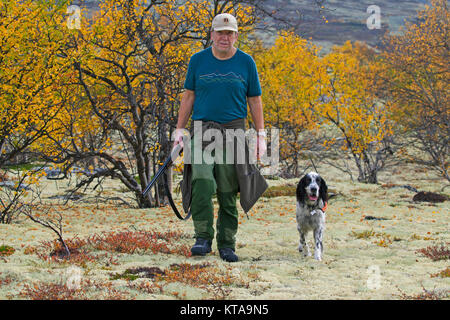 Hunter norvégien avec fusil de chasse chien Setter Anglais et huppée sur la lande à l'automne, la Norvège Banque D'Images