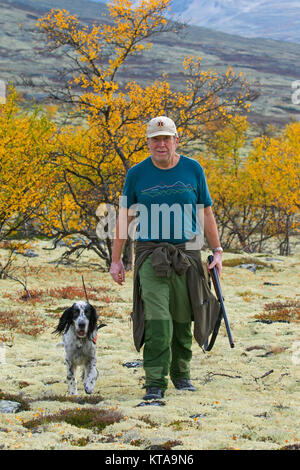 Hunter norvégien avec fusil de chasse chien Setter Anglais et huppée sur la lande à l'automne, la Norvège Banque D'Images