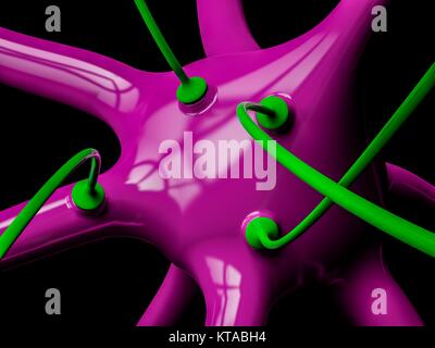 Les cellules nerveuses et les synapses, illustration de l'ordinateur. Les cellules nerveuses, ou neurones, relais d'informations autour du système nerveux central (SNC) et du CNS au reste du corps. Synapses transmettent les signaux électriques d'une cellule nerveuse à l'autre. Lorsque le signal atteint la synapse elle déclenche la libération de substances chimiques appelées neurotransmetteurs de vésicules dans le terminal de l'enflure de la cellule présynaptique. Les neurotransmetteurs traversent un écart microscopique appelé fente synaptique et de passer dans la cellule nerveuse du récepteur, où elles déclenchent une impulsion électrique. Banque D'Images