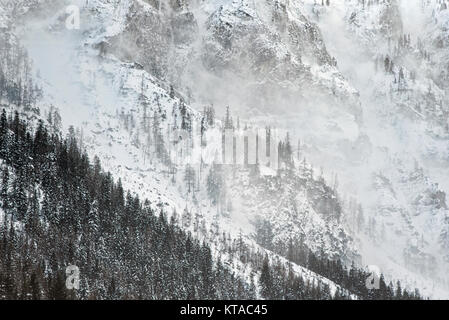 L'hiver dans les Alpes, la neige, le brouillard et le vent sur un pic de montagne, du mauvais temps, des pins sur les pentes Banque D'Images