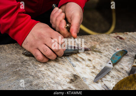 Poissonnier couper un petit poisson sur une planche à découper Banque D'Images