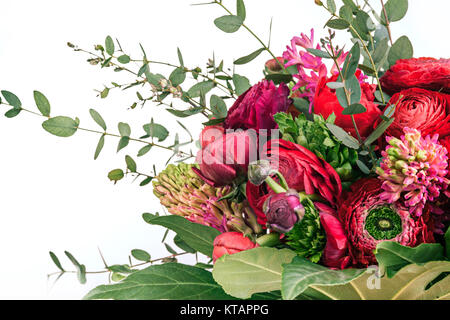 Ranunkulyus bouquet de fleurs rouges sur fond blanc Banque D'Images