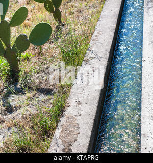 Cactus et de l'irrigation ditch en Sicile Banque D'Images