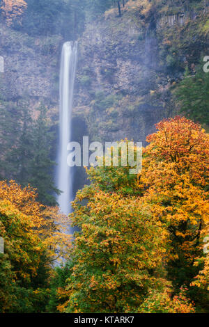 Chutes de Multnomah descend 611 mètres encadrée par les couleurs d'automne dans l'Oregon's Columbia River Gorge National Scenic Area. Banque D'Images