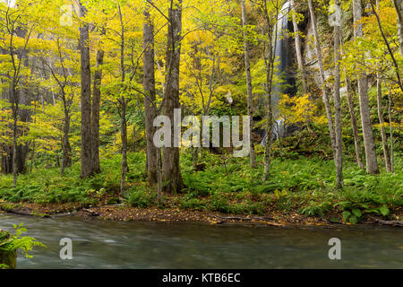 Gorge Oirase Stream en automne Banque D'Images