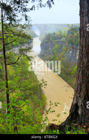 Inspiration Point, Middle Falls, Genesee River, Letchworth State Park, Castille, New York, USA Banque D'Images