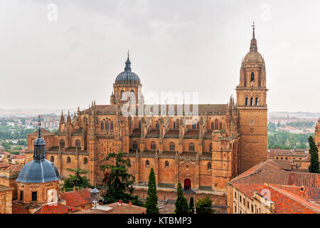 La Catedral Nueva de Salamanca vista desde la Clerecía. Salamanque. Ciudad Patrimonio de la Humanidad. Castilla León. España Banque D'Images